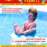 Local Hero Cup Pegnitz. Originalplakat aus dem Bestand 2016.